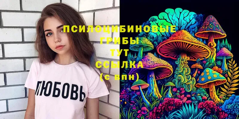 цены наркотик  сайты даркнета телеграм  Галлюциногенные грибы Magic Shrooms  Александров 